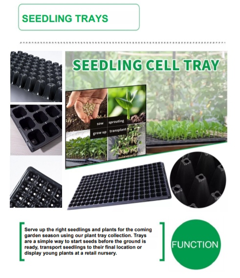 SEEDLING TRAYS