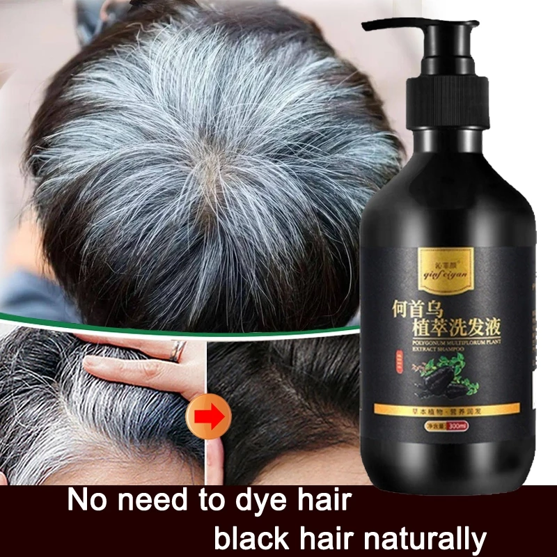 Polygonum Multiflorum Herbal Shampoo to Restore Black Hair, Reduce Hair Loss & Strengthen Roots, 60ml