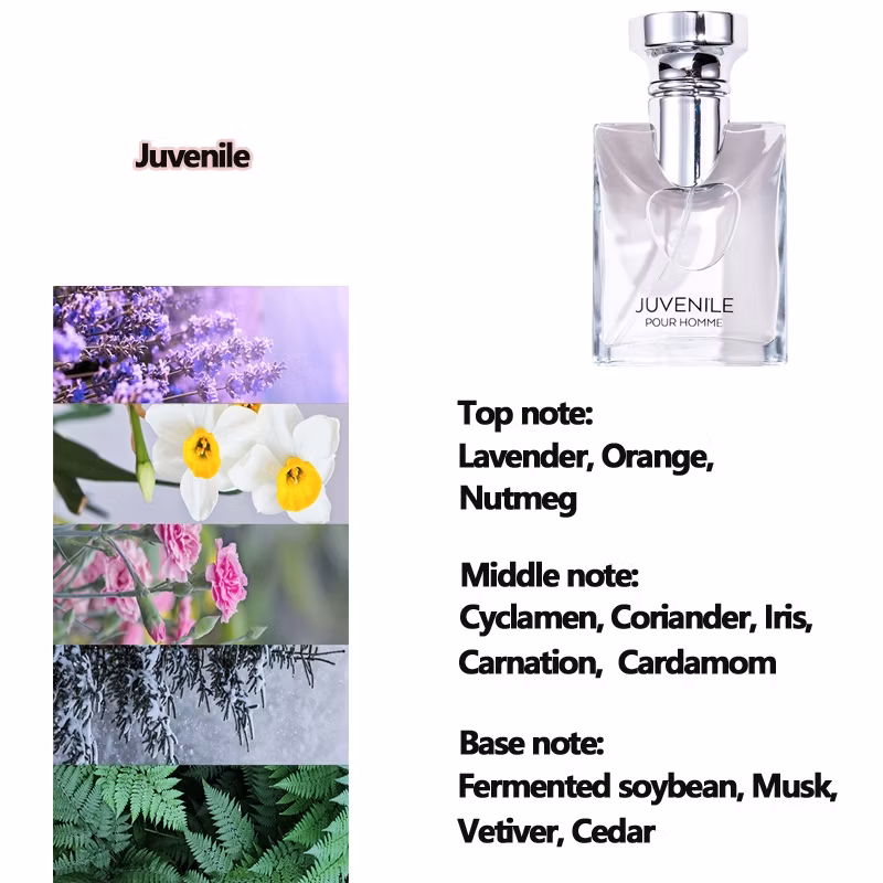 Luxury Men's Fragrance Gift Set: 4-Piece 100ml Collection | Long-Lasting Fresh Plant & Floral Scent - Image 3