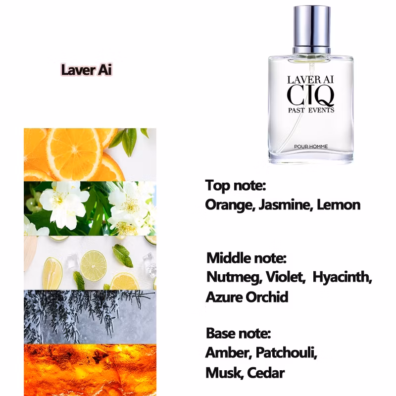 Luxury Men's Fragrance Gift Set: 4-Piece 100ml Collection | Long-Lasting Fresh Plant & Floral Scent - Image 4